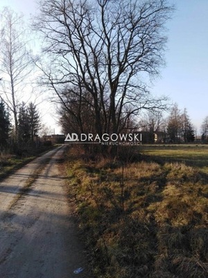 Działka, Chynów (gm.), 6000 m²