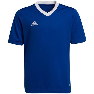 ADIDAS Koszulka Junior T-shirt Entrada 22 r. 152cm