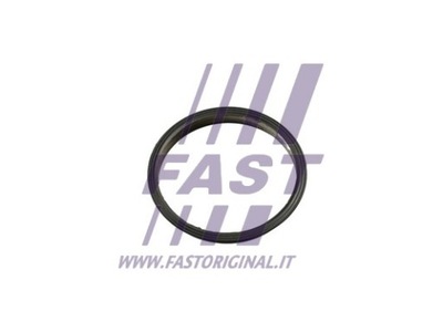 FAST FT49853 FAST УПЛОТНИТЕЛЬ НАСОСА ВАКУУМНЫЙ FORD TRANSI