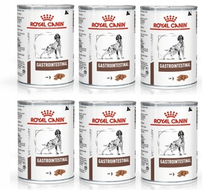 Royal Canin DOG Gastro Intestinal 6x 400g puszka