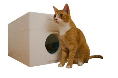 Styropianowy domek dla kota 4cm ścianka