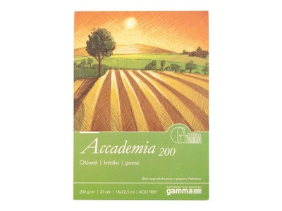 Papier do linorytu Accademia 200