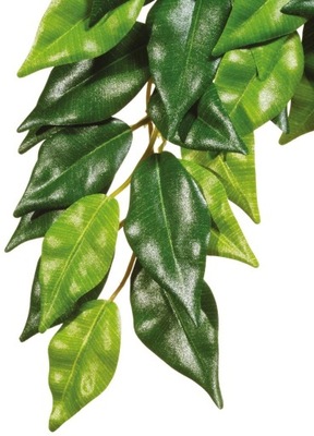 Roślina sztuczna – Silk Ficus, S