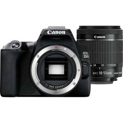 Canon EOS 250D + EF-S 18-55mm f/3.5-5.6 III Zestaw do lustrzanki 24,1 MP CM