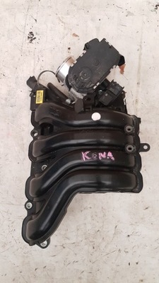 Hyundai kona 2019 коллектор всасывающий фото №1