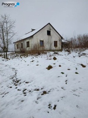 Dom, Godziszów, Goleszów (gm.), 100 m²