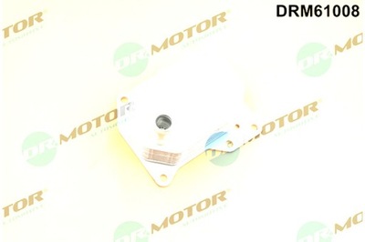 DR.MOTOR AUTOMOTIVE RADIATOR OILS FORD  