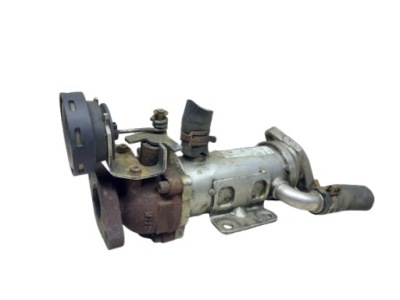 Renault espace iv радиатор выхлопных газов 8200505409 фото №1