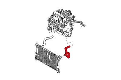 ПАТРУБОК ПАТРУБОК РАДИАТОРА ВОДЫ FORD FOCUS 1.4 1.6 16V