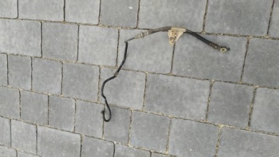 Toyota sienna 2011- шланг тормозной задняя правый фото №1