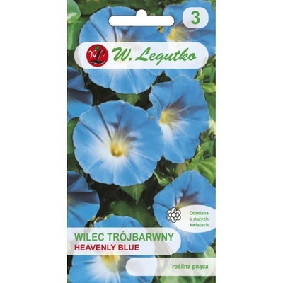 WILEC TRÓJBARWNY HEAVENLY BLUE 2G LEGUTKO