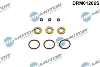 DR.MOTOR DRM01206S JUEGO USZCZELEK, TERMINAL BOQUILLA  