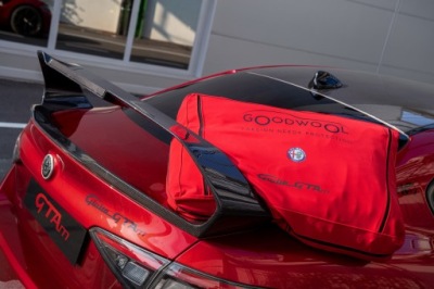 Крыло спойлер alfa romeo giulia gta gtam карбон фото №1