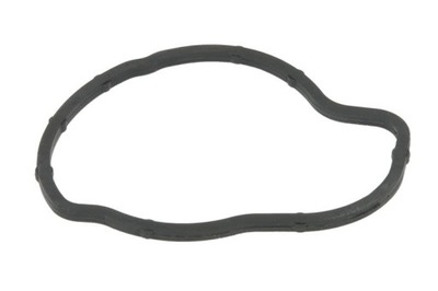 GASKET THERMOSTAT HANS PRIES 205 945  