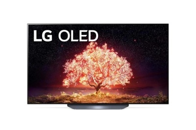 LG OLED65B13LA 65" (164 cm), Smart TV, WebOS,