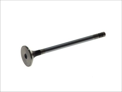 Клапан выпускной freccia r6164/bmcr фото №1