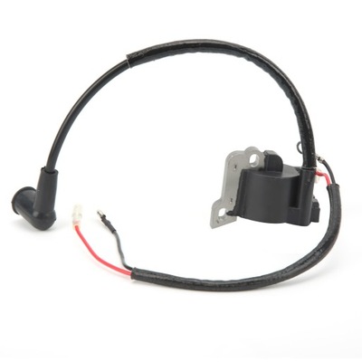 Модуль модуля катушки зажигания 42384001301 фото №1