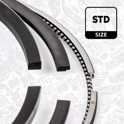 Et engineteam pm005100 поршень фото №1