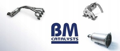 BM CATALYSTS BM11010 ФИЛЬТР SADZY / ФИЛЬТР САЖЕВИЙ ТВЕРДЫХ ЧАСТИЦ, СИСТЕМА ВЫПУСКНОЙ P