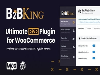 Wtyczka B2BKing Ultimate WooCommerce B2B