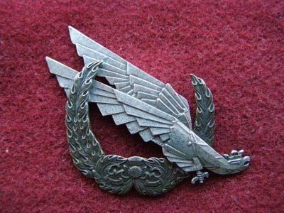 1 Brygada Strzelców odznaka