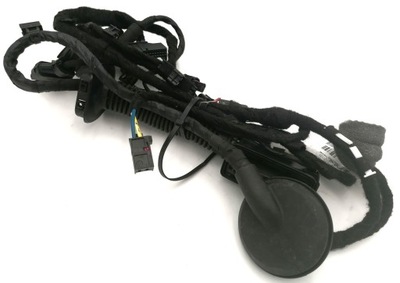 Джгут двері пасажира audi r8/spyder 4s8971030g фото №1