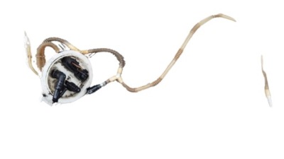 Audi a8 d3 насос паливної  поплавок 4.2 tdi 4e0919679 фото №1