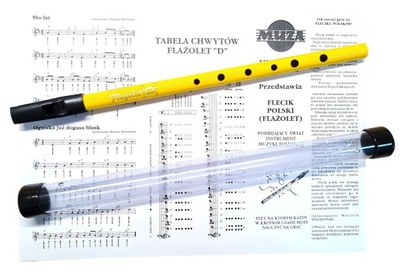 FLAŻOLET D MUZA EMUZ Z ETUI FLET POLSKI ŻÓŁY