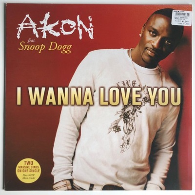 Akon Feat. Snoop Dogg – I Wanna Love You