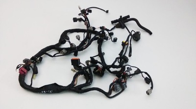 KAWASAKI 636 ZX6 INSTALACIÓN ELÉCTRICA JUEGO DE CABLES  