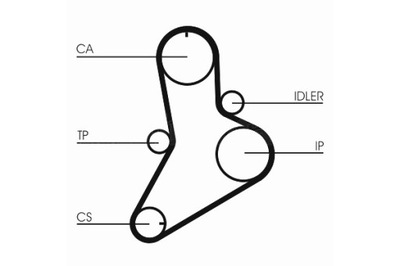 CONTINENTAL CTAM РЕМЕНЬ ГРМ IVECO DAILY I DAILY II FIAT DUCATO