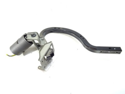 Петля кришки правий задня lexus rc спортивний/купе фото №1