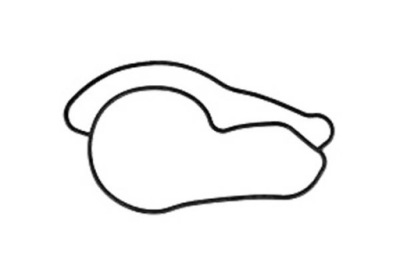 Graf насос wody honda accord viii 2.4 i cu фото №1