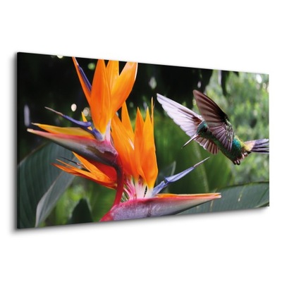 Obraz na płótnie 120x60 Koliber kwait ptak