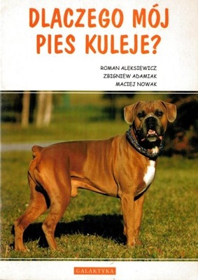 DLACZEGO MÓJ PIES KULEJE Roman Aleksiewicz
