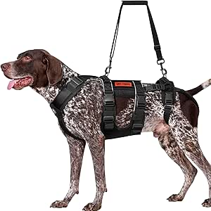 Szelki dla psa OneTigris XL uprząż