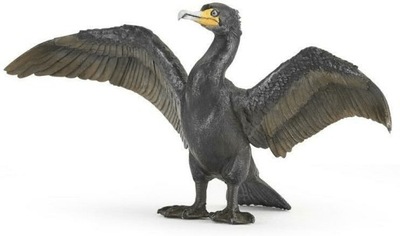 Kormoran