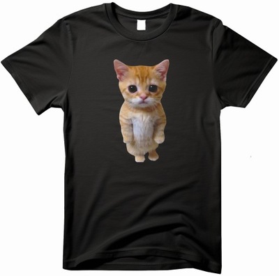 koszulka El Gato cat kot kotek mem