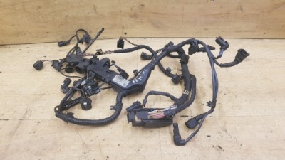 Джгут двигуна mini cooper ii r55 1.6d фото №1