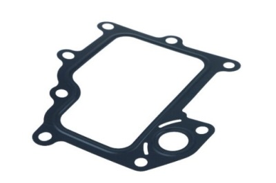 Прокладка клапана egr iveco daily iv-vi 504317821 фото №1