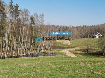 Działka, Miłowo, Przywidz (gm.), 3256 m²