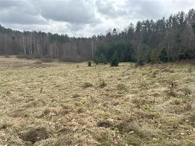 Działka, Bieszkowice, 46000 m²