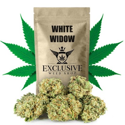 Susz CBD White Widow EXCLUSIVE 2g