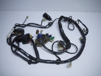 INSTALACIÓN ELÉCTRICA JUEGO DE CABLES HONDA CB 600 HORNET PC36 03-06 32100-MBZ-C500  