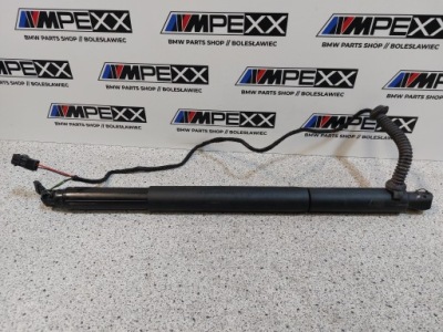 Bmw e71 e72 привод амортизатор крышки левый 7332697 фото №1