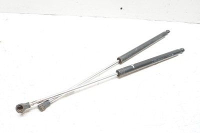 Амортизатори кришки задня привід renault laguna ii hb фото №1