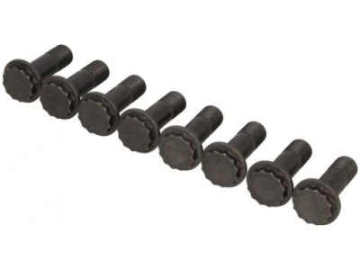 Luk 411 0173 10 набір гвинт, колесо маховик фото №1