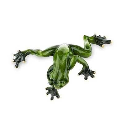 Zielona żabka żaba żaby skacząca