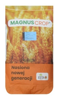 PSZENICA IS RUBICON 25KG