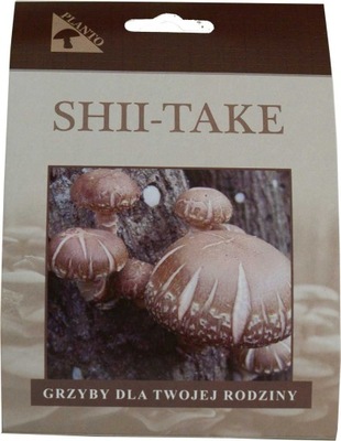 Grzybnia SHIITAKE uprawa w ogrodzie SHII-TAKE